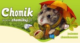Chomikuj.pl
